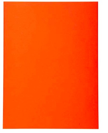 CHEMISE EXACOMPTA FOREVER CARTE SEMI RIGIDE RECYCLÉE 240X320MM 180G COLORIS ORANGE LOT 100 UNITÉS